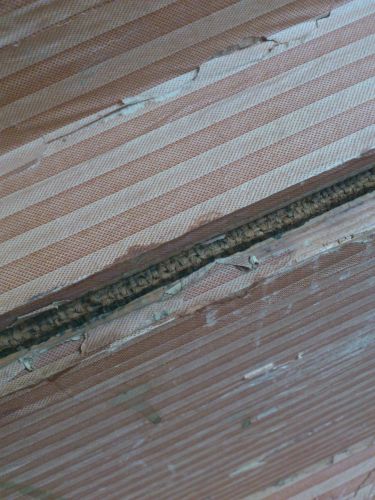 95324_DSC_0237_1.jpg