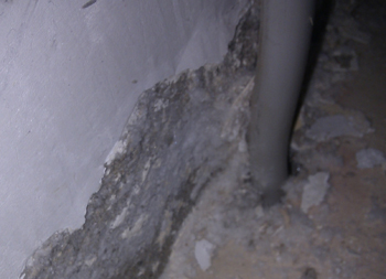 95919_IMAG0328_1.jpg