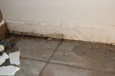 96004_DSC_0077_1.jpg