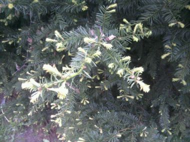 96172_IMG20120509WA0002_1.jpg