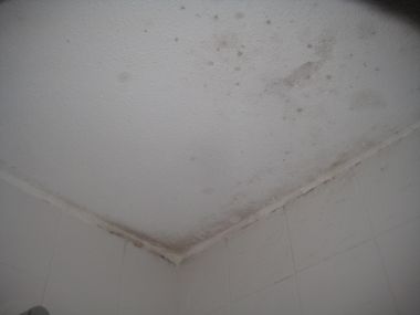 96188_IMG_3314_2.jpg