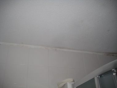96188_IMG_3315_1.jpg