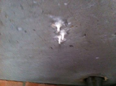 97046_foto_3_1.jpg