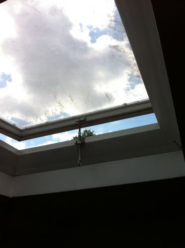 97052_foto_3_1.jpg