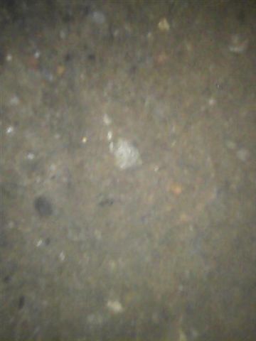 97248_Picture_016_1.jpg