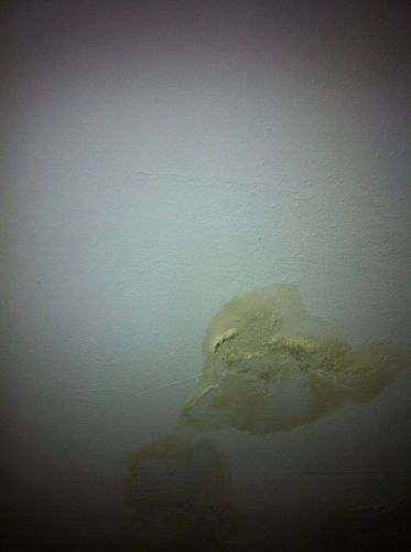 97261_IMG_0358_1.jpg