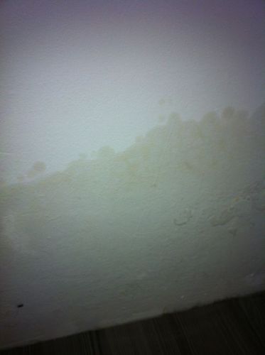97261_IMG_0360_1.jpg