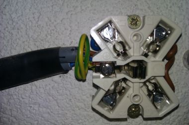 97385_IMAG0181_1.jpg