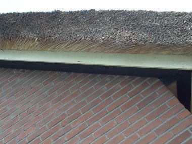 97587_windveer_1.jpg