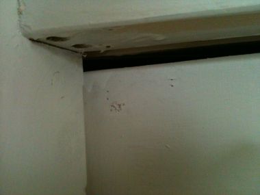 97894_foto_001_1.jpg