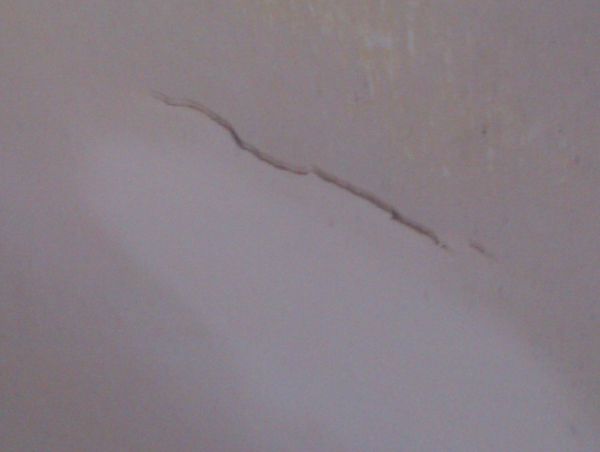 9802_IMAG0433_1.jpg