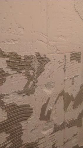 98153_IMAG0053_1.jpg