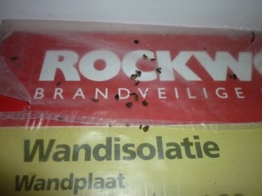98299_bla_1.jpg