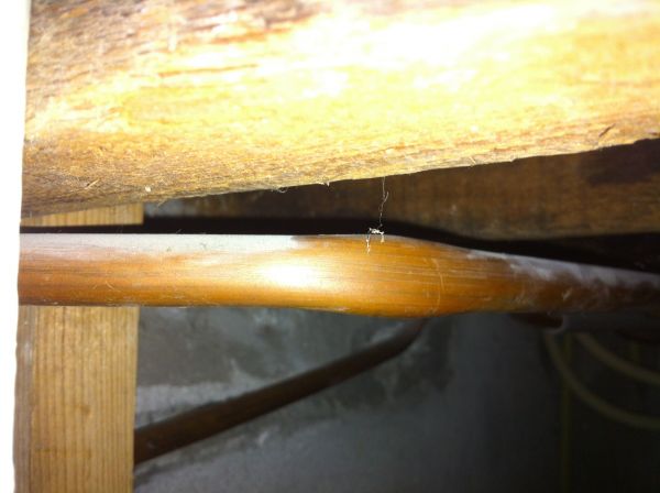 98673_image_1.jpg
