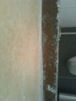 98811_foto3_1.jpg