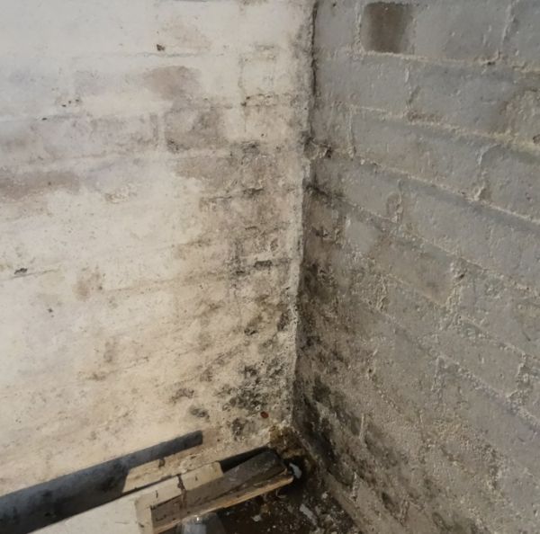 98860_MUUR_2__VOCHT_AAN_TUINZIJDE_1.jpg