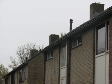 98866_afbeelding1_1.jpg