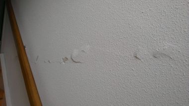 99213_IMAG0242_1.jpg