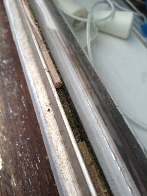 99267_photo_1.jpg