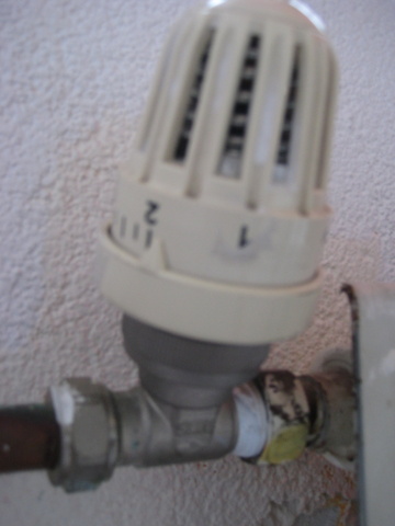 99302_IMG_4176_2.jpg
