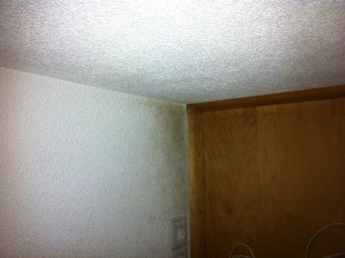 99421_photo_2_2.jpg