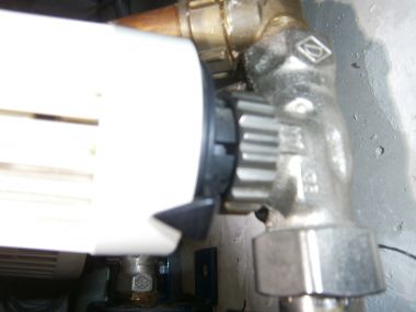 99441_knop2_1.jpg