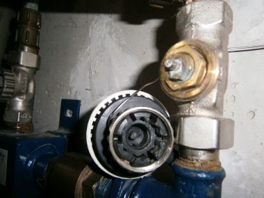 99441_pinnetje_1.jpg