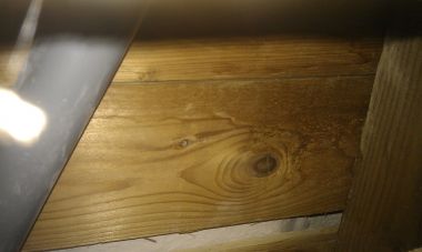 99448_IMAG0299_Large_1.jpg