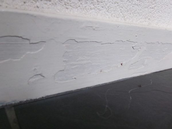 99526_IMG_5086_1.jpg