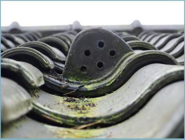 99921_Dak_ventilatie_close_2.jpg