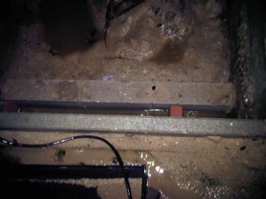 99952_IMG00262201212262109_1.jpg