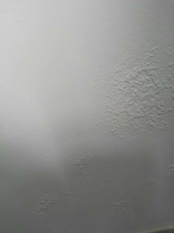 1000_20170224_115607_resized_1.jpg