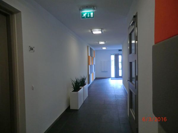 10015_CIMG5899_1.jpg