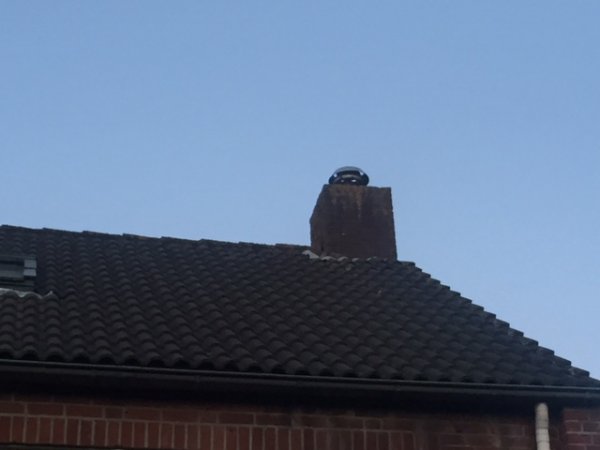 100618_IMG_6654_1.jpg