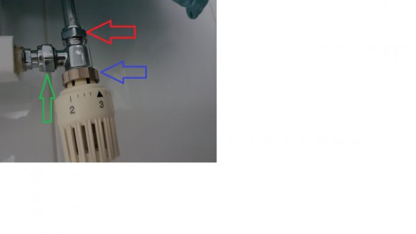 101400_lek_1.jpg