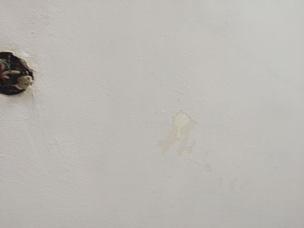 101859_IMG_0576_1.jpg