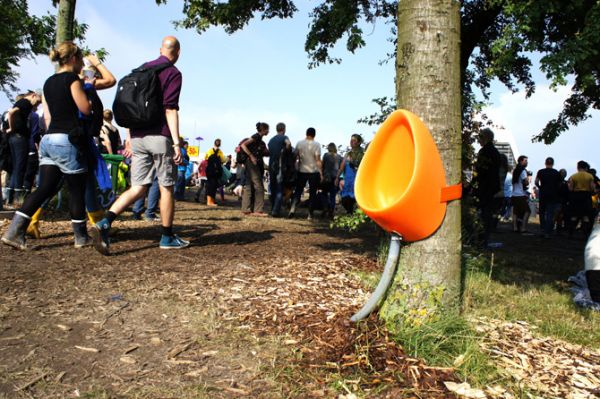 10198_ptree_roskilde_2_1.jpg