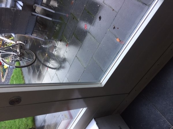 104035_IMG_3879_1.jpg