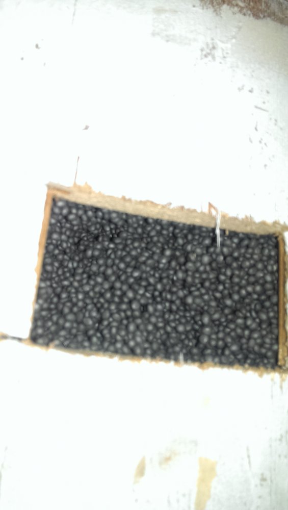 104304_IMAG0291_1.jpg