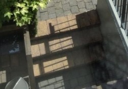 10432_trap_2.jpg
