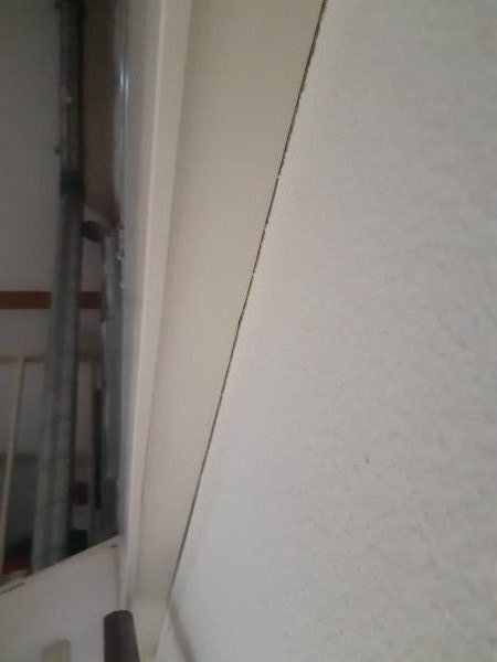 105692_20200427_143934_1.jpg