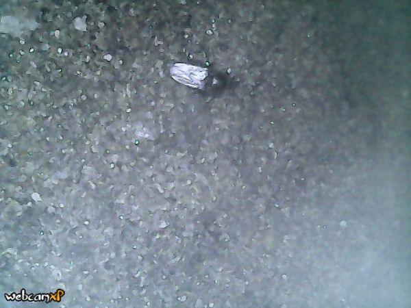 105823_cam1_20151107_123313_184mjpeg_1.jpg