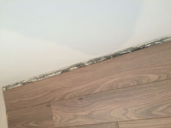 106192_IMG_2483_1.jpg