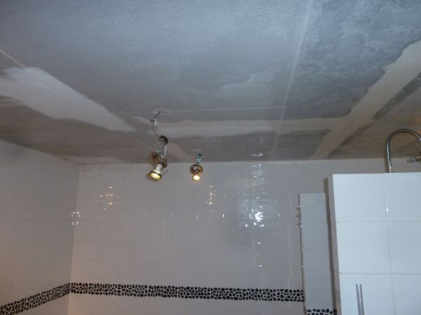 106558_Plafond_badkamer_003_1.jpg