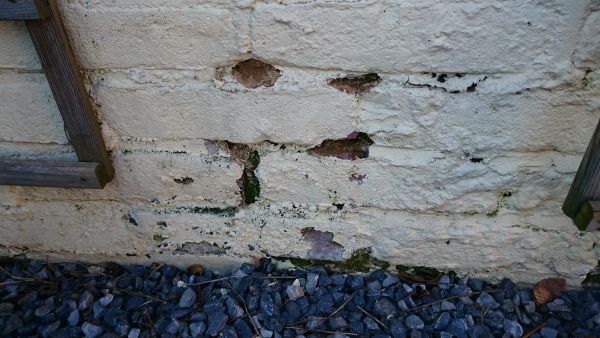 107091_DSC_0105_1.jpg