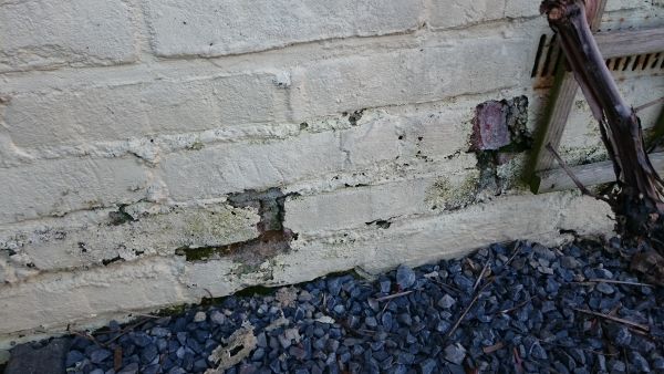 107091_DSC_0106_1.jpg