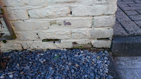 107091_DSC_0108_1.jpg
