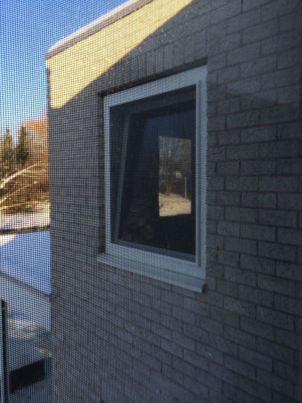 107450_image_10.jpg
