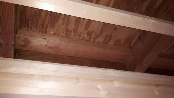 107572_foto3_1.jpg