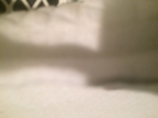 107791_image_27.jpg